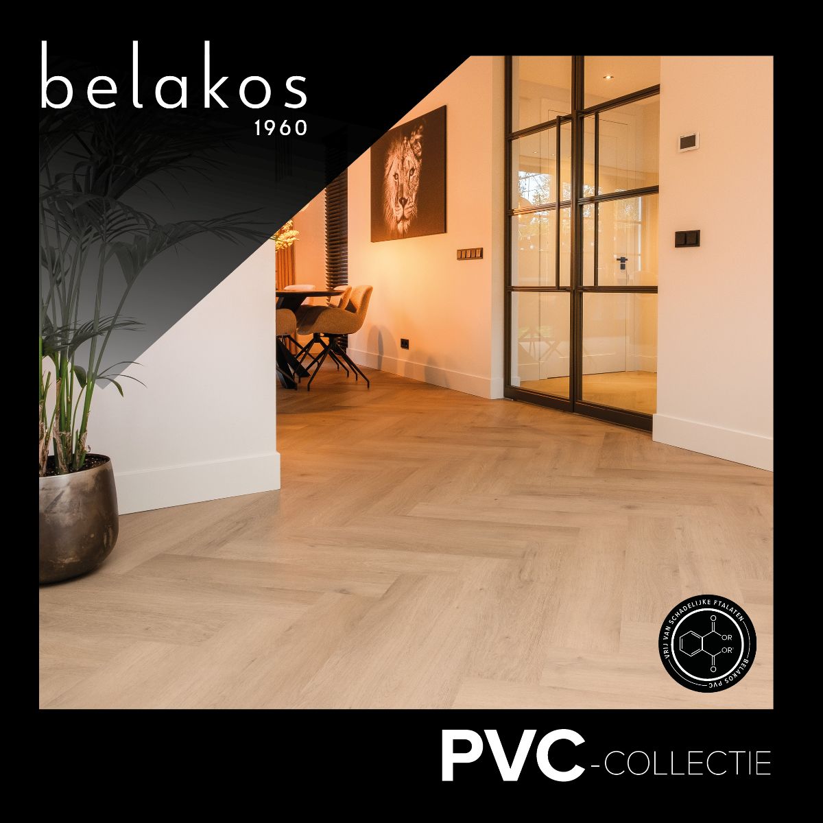 Foto : Nieuwe Belakos pvc kwaliteiten: Terreno en Monastro