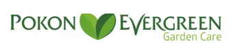 Pokon Evergreen